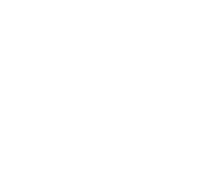 Phlebotex